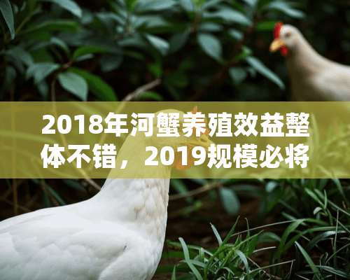 2018年河蟹养殖效益整体不错，2019规模必将扩大，新蟹塘开挖需要注意哪些？