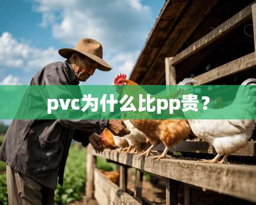 pvc为什么比pp贵？