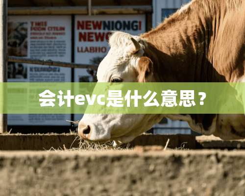 会计evc是什么意思？