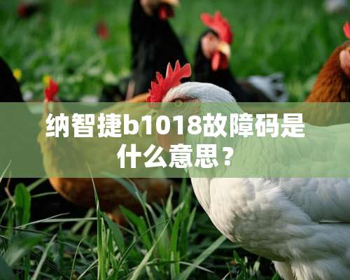 纳智捷b1018故障码是什么意思？