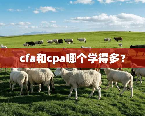 cfa和cpa哪个学得多？