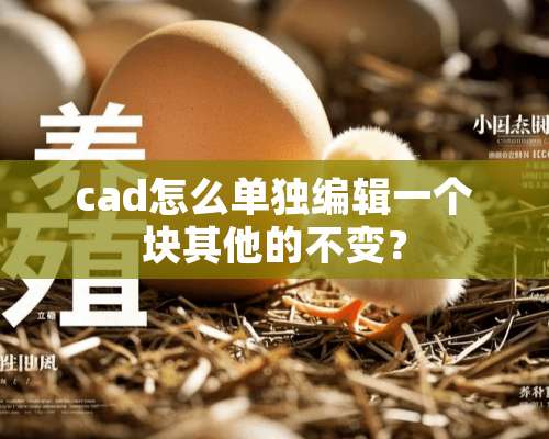 cad怎么单独编辑一个块其他的不变？