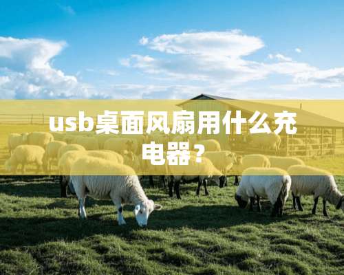 usb桌面风扇用什么充电器？