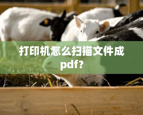 打印机怎么扫描文件成pdf？