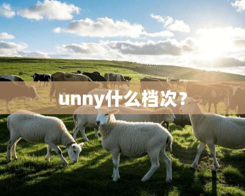 unny什么档次？