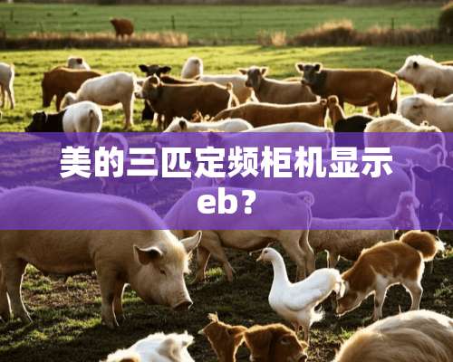 美的三匹定频柜机显示eb？