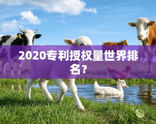 2020专利授权量世界排名？