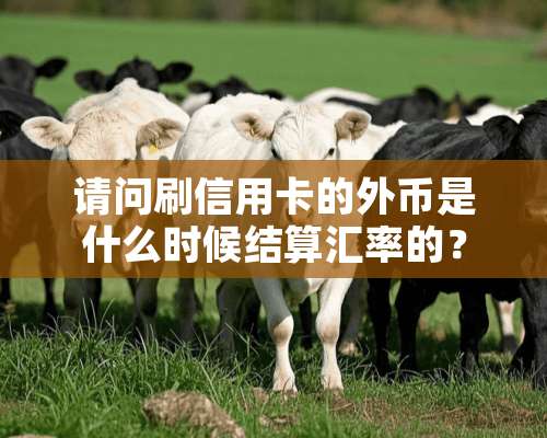 请问刷***的外币是什么时候结算汇率的？