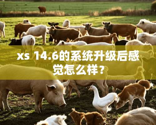 xs 14.6的系统升级后感觉怎么样？