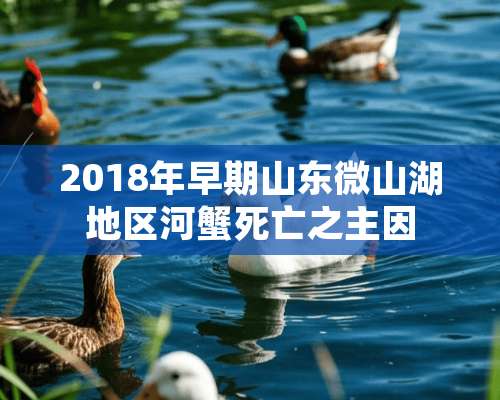 2018年早期山东微山湖地区河蟹死亡之主因