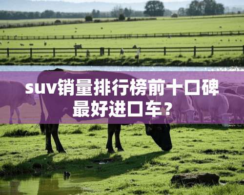 suv销量排行榜前十口碑最好***？