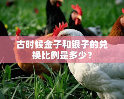 古时候金子和银子的兑换比例是多少？