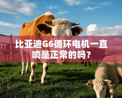 比亚迪G6循环电机一直响是正常的吗？