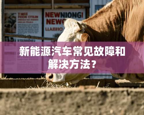 新能源汽车常见故障和解决方法？