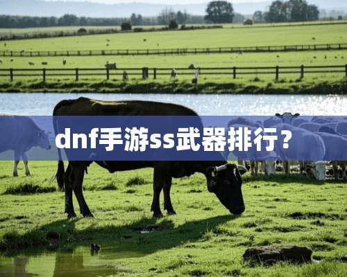 dnf手游ss**排行？