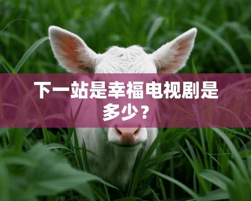 下一站是幸福电视剧是多少？