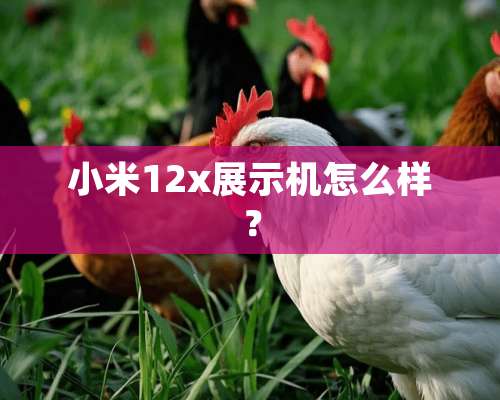 小米12x展示机怎么样？