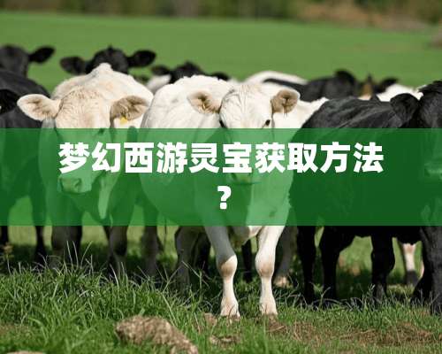 梦幻西游灵宝获取方法？