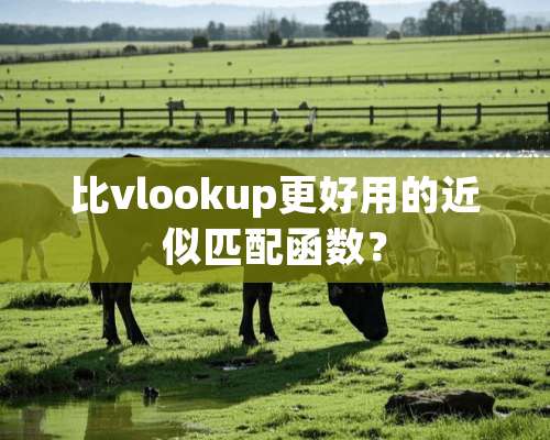 比vlookup更好用的近似匹配函数？