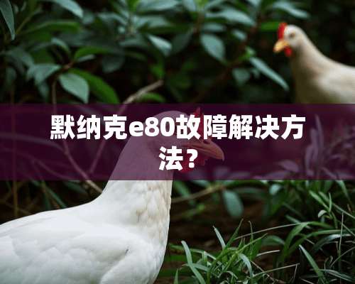 默纳克e80故障解决方法？