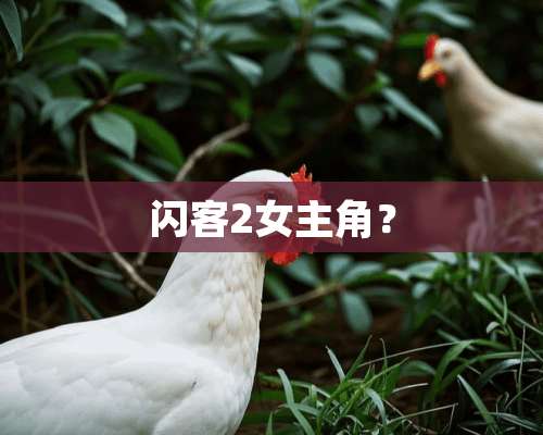 闪客2女主角？