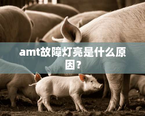 amt故障灯亮是什么原因？