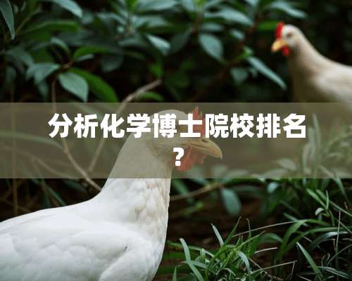 分析化学博士院校排名？