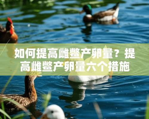 如何提高雌鳖产卵量？提高雌鳖产卵量六个措施（图）