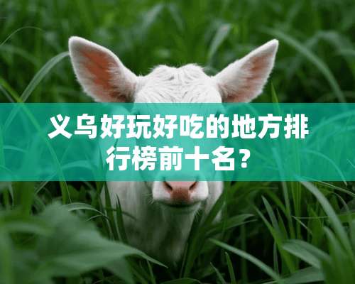 义乌好玩好吃的地方排行榜前十名？