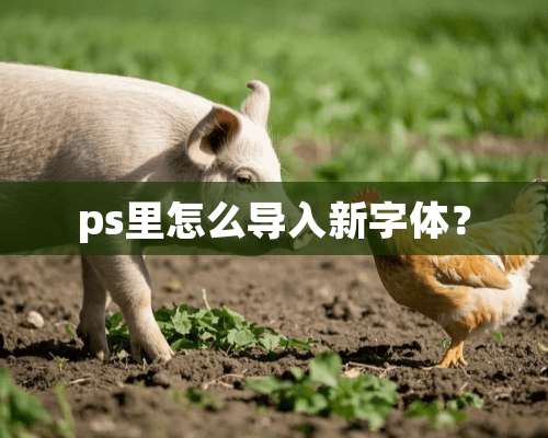 ps里怎么导入新字体？