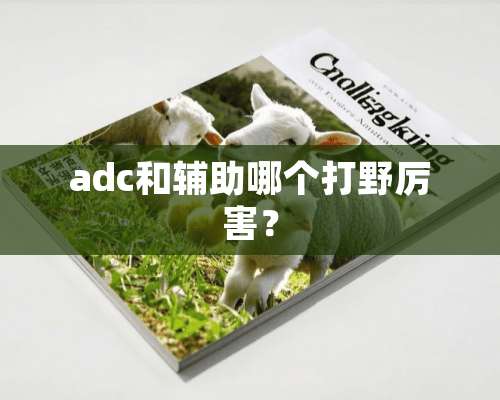 adc和辅助哪个打野厉害？