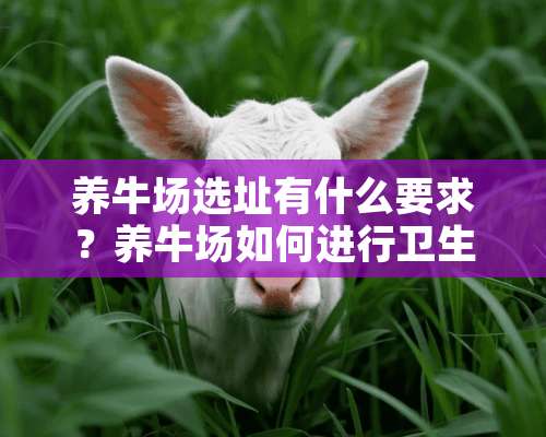 养牛场选址有什么要求？养牛场如何进行卫生管理？