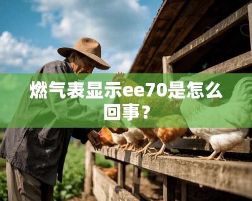 燃气表显示ee70是怎么回事？