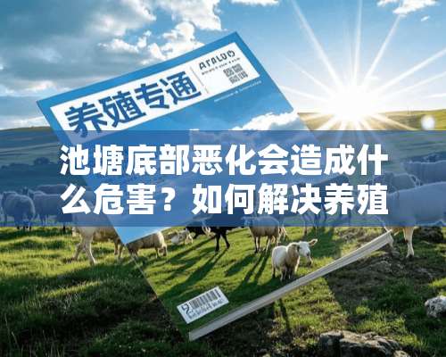 池塘底部恶化会造成什么危害？如何解决养殖后期池塘