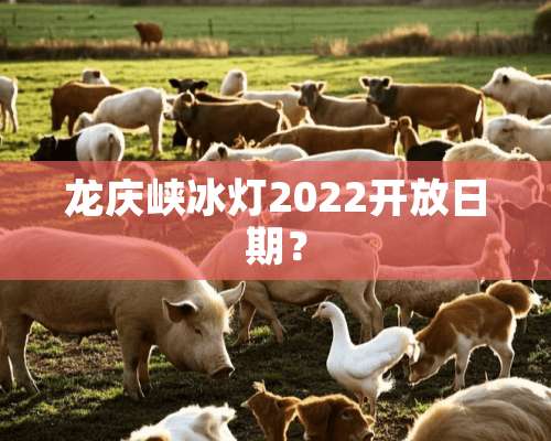 龙庆峡冰灯2022开放日期？