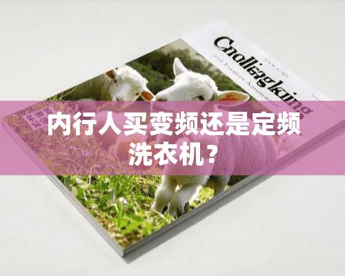 内行人买变频还是定频洗衣机？