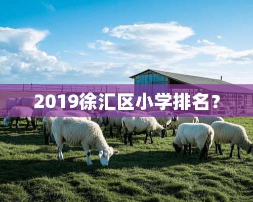 2019徐汇区小学排名？