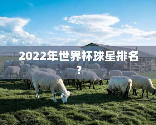 2022年世界杯球星排名？