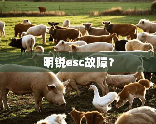 明锐esc故障？