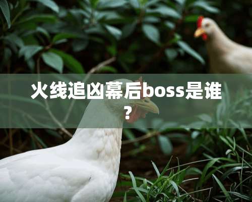 火线追凶幕后boss是谁？