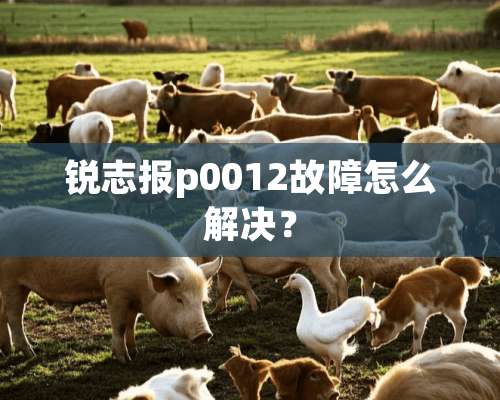 锐志报p0012故障怎么解决？