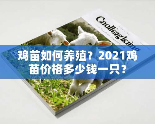 鸡苗如何养殖？2021鸡苗价格多少钱一只？