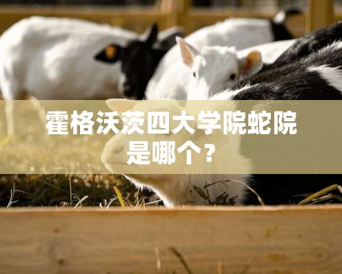 霍格沃茨四大学院蛇院是哪个？