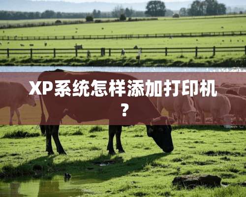 XP系统怎样添加打印机？