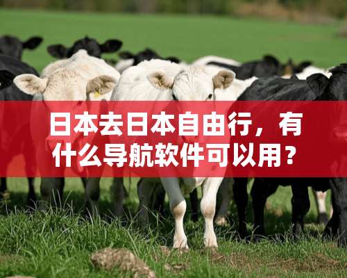 日本去日本自由行，有什么导航软件可以用？