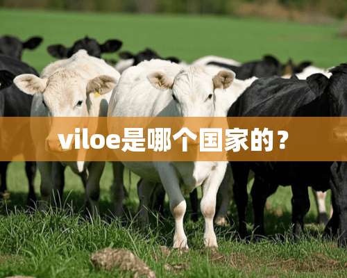 viloe是哪个国家的？