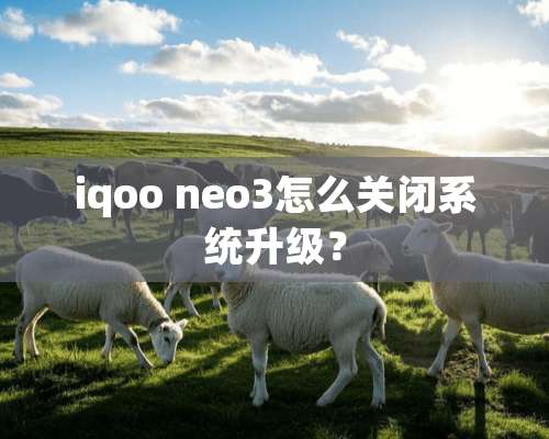 iqoo neo3怎么关闭系统升级？