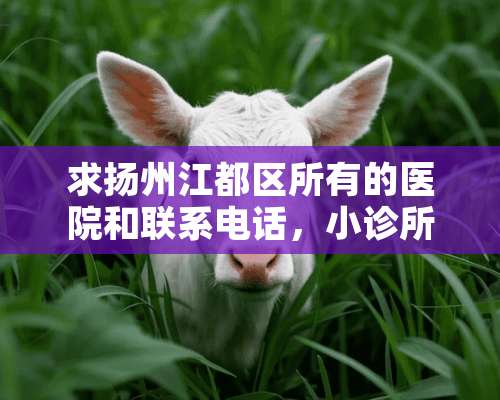 求扬州江都区所有的医院和联系电话，小诊所就算了？