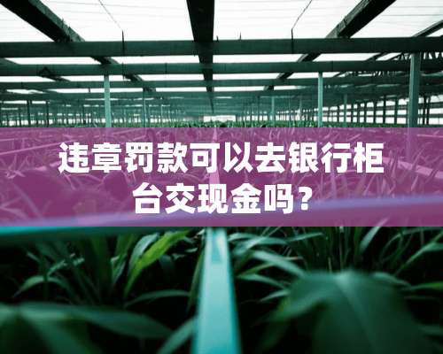 违章罚款可以去银行柜台交现金吗？