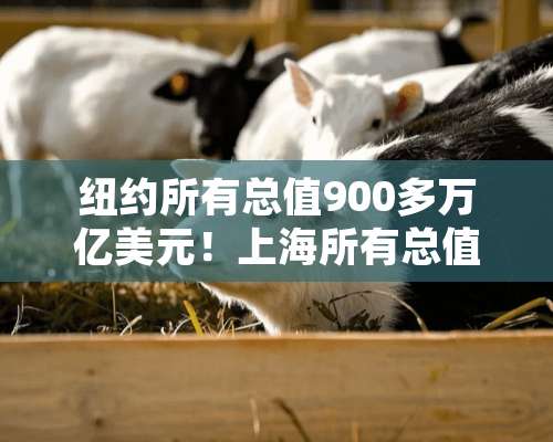 纽约所有总值900多万亿美元！上海所有总值能有500万亿美金吗？